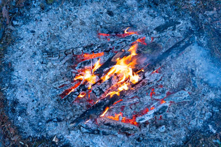 Photo of an evening forest fire.の写真素材