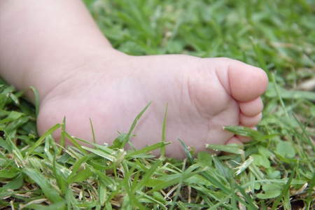 Baby foot on the grassの写真素材