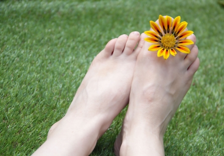 Woman feet on the grass with flowerの写真素材
