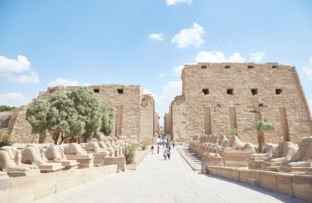The Sphinx-Line Entrance to Karnak Templeの写真素材