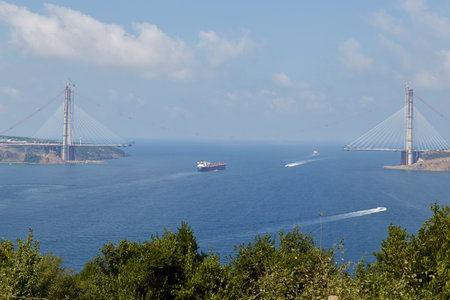 An exciting Bosphorus Cruise across Istanbulの写真素材