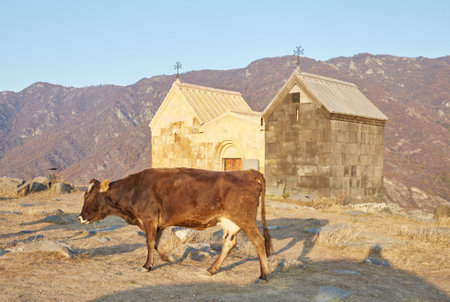 The Horomayri Monastery Overlook Above the Debed Canyon in Alaverdi, Armenia . High quality photo