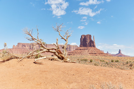 The incredible landscapes of the Monument Valley Scenic Driveの写真素材