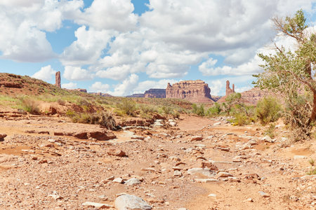 The Valley of the Gods in Utah, a scenic drive just north of Monument Valley