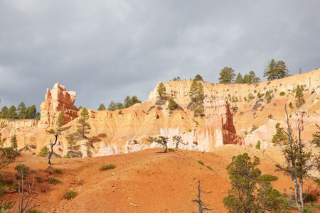 Hiking the Navajo Loop Trail in Bryce Canyon National Park