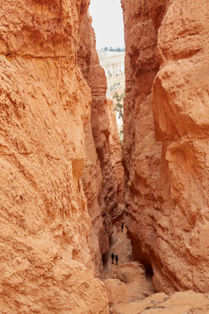 The stunning Bryce Canyon National Park, known for its many orange-colored hoodoos