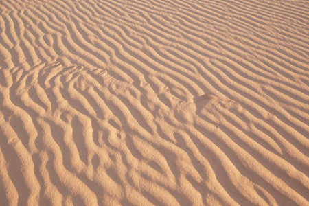 The stunning Coral Pink Sand Dunes State Park in southern Utah