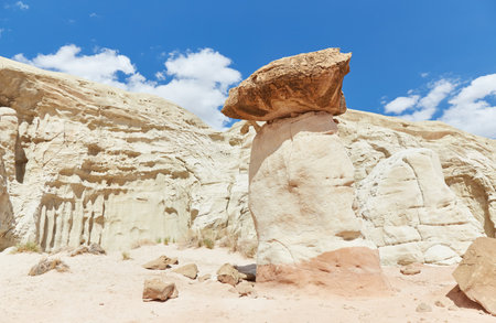 The surreal Toadstool Hoodoos in Utahs Grand Staircase-Escalante National Monumentの写真素材