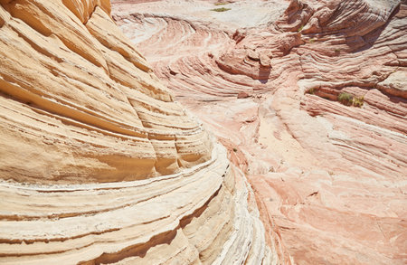 The extraordinary White Pocket in northern Arizona is one of the worlds most unique geologic wonders