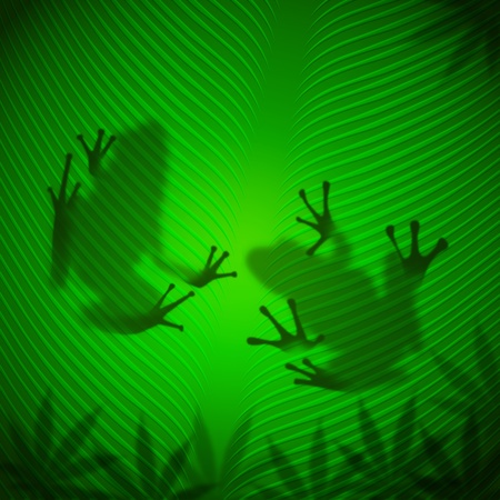 Frog shadow on banana leaf in the tropical sun の写真素材