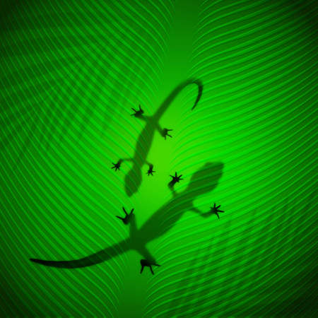 Lizard shadow on banana leaf in the tropical sunの写真素材