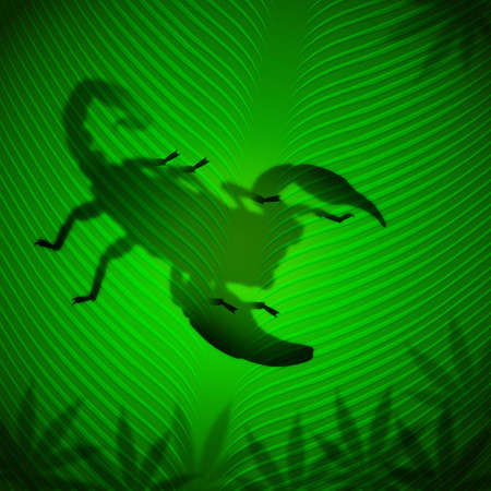 Scorpion shadow on banana leaf in the tropical sunの写真素材