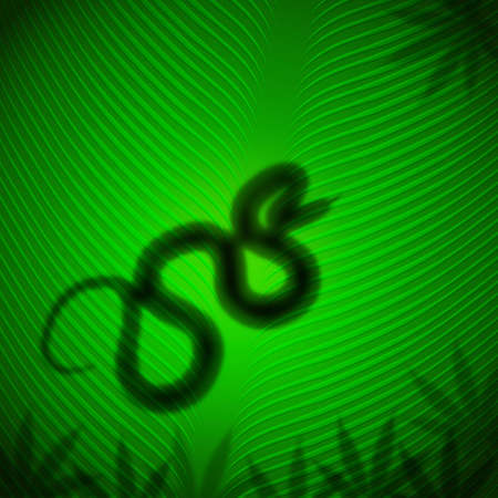 Snake shadow on banana leaf in the tropical sunの写真素材