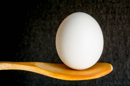 An egg balanced on a wooden spoon.の写真素材