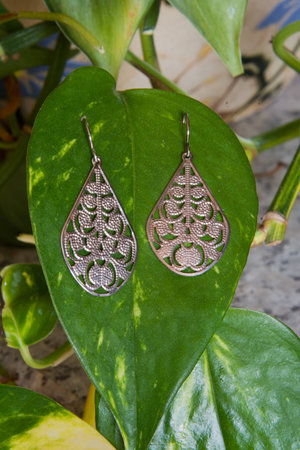 A pair of sterling silver earrings on a plant leaf.