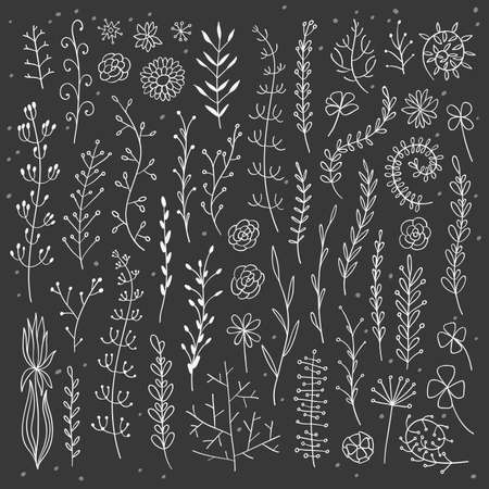 Vector hand drawn botanical elements set. Monochrome herbs collection. Good for wedding invitation, birthday card, web page design.のイラスト素材