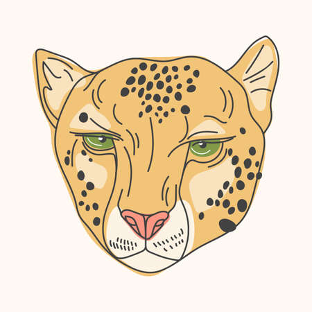 Cheetah hand drawn head face for your business or social media content.のイラスト素材