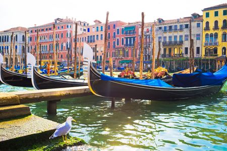 Nice view of anchored gondolas on Grand Canal in Veniceの写真素材