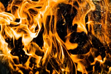 Orange flame burning on black background