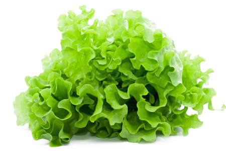 Fresh green Lettuce salad on white isolated backgroundの写真素材