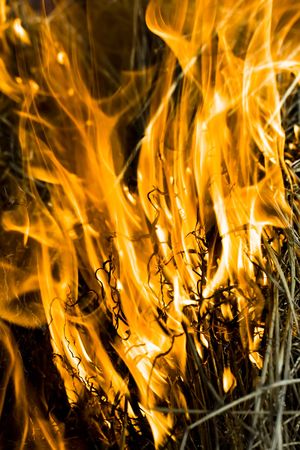Orange flame burning on black backgroundの写真素材