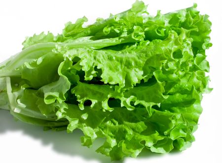 Fresh green Lettuce salad on white isolated backgroundの写真素材