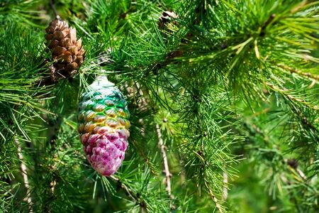 Real and toy cone on a Christmas-treeの写真素材