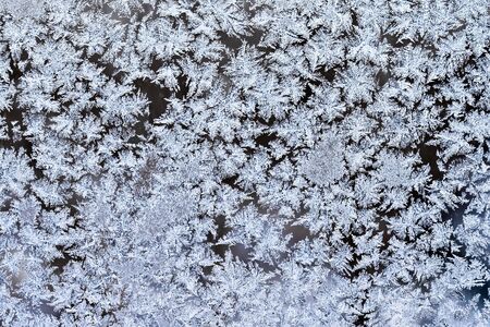 Frost pattern on a winter windowの写真素材
