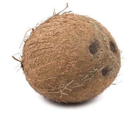 Coconut isolated on white backgroundの写真素材