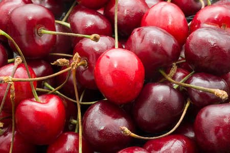 Beautiful red fresh cherry macro photo background