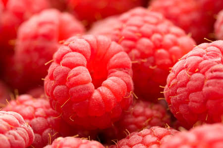 Many fresh red raspberries making beautiful background