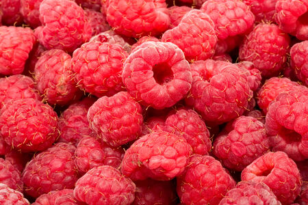 Many fresh red raspberries making beautiful background