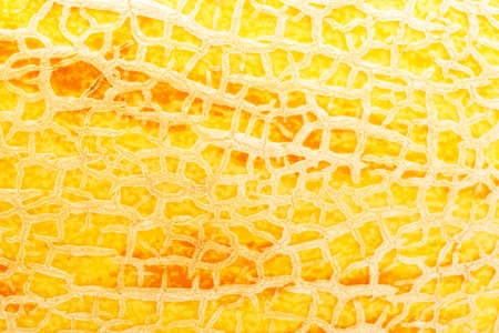 Fresh juicy melon peel making nice background