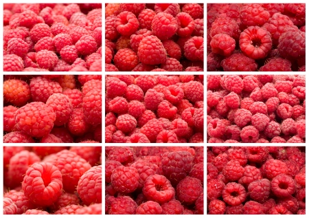 Many fresh red raspberries making beautiful background