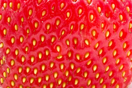 Nice macro photo of red sweet strawberriyの写真素材