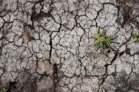 Land with dry cracked ground texture background