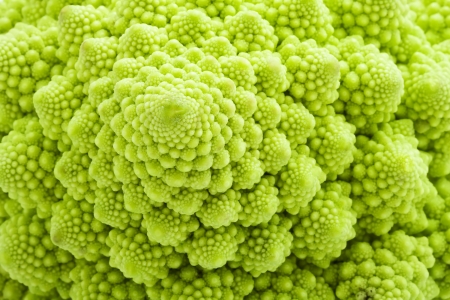 Green Romanesco broccoli isolated on white backgroundの写真素材