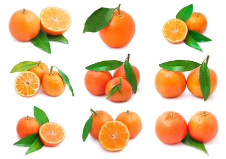 Collection of juicy tangerines or mandarins isolated on white backgroundの写真素材
