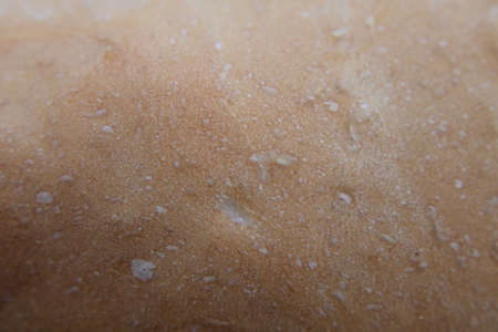 Closeup of loaf crustの写真素材
