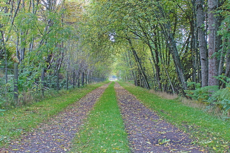View along the Speyside way near Grantown-on-speyの写真素材