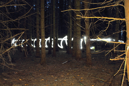 light trail through the woods.の写真素材