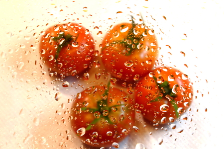 Tomatoes through water drops.の写真素材
