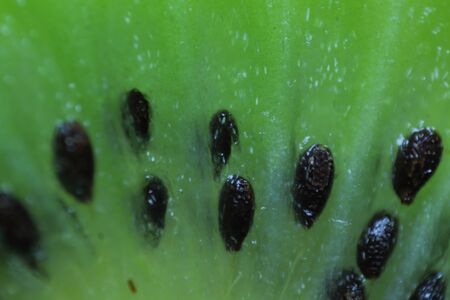 Sliced Kiwi fruit, seeds exposed, Macroの写真素材