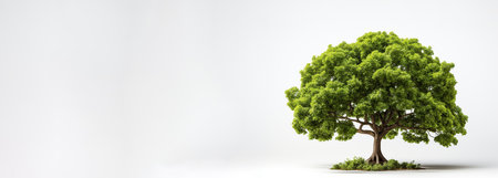 Big tree on white background with copy space for text mockup Generative AIの素材