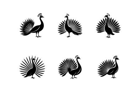 Vector Peacock Set. Set of Peacock logo icons Illustrations. silhouette black color vector art illustrationのイラスト素材