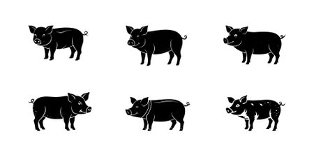 Vector Pig Set. Set of Pig logo icons Illustrations. silhouette black color vector art illustrationのイラスト素材