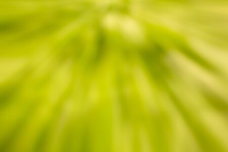 Backgroundの写真素材