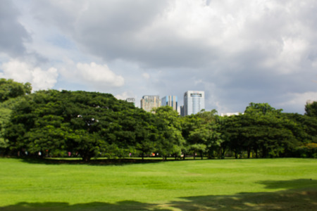 Blurred park background