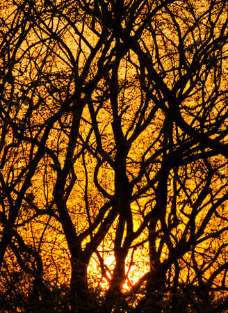 Light behindの写真素材