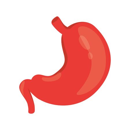 Modern vector illustration o human stomach icon. Part of Gastrointestinal tract. Isolated on white backgroundのイラスト素材